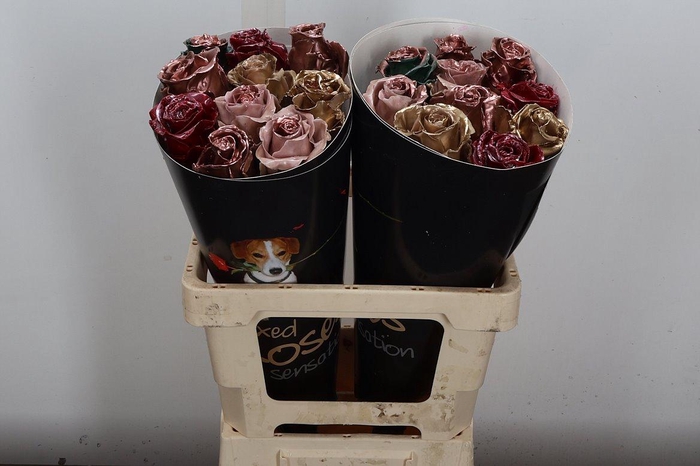 <h4>R Ov Wx Mix Copper</h4>