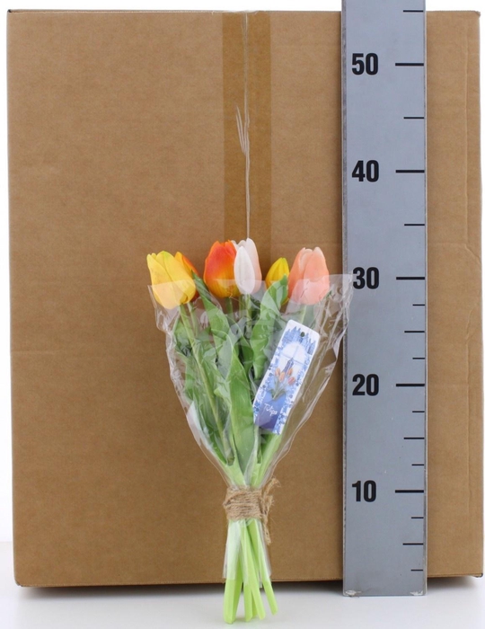 <h4>HUIS EN TUINDECO H%</h4>