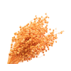 Lino Vlas Peach