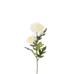 Chrysanthemum 51cm