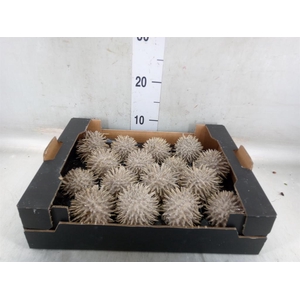 Decoratieve materialen   ...H%