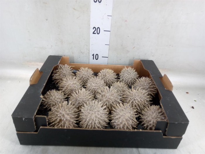 <h4>Decoratieve materialen   ...H%</h4>