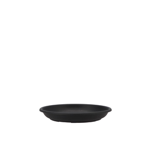 Floristry Plate 20cm P/10 Black