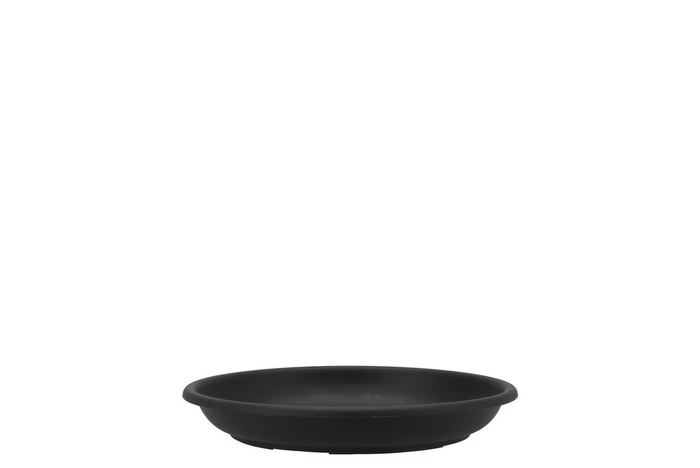 <h4>Floristry Plate 20cm P/10 Black</h4>