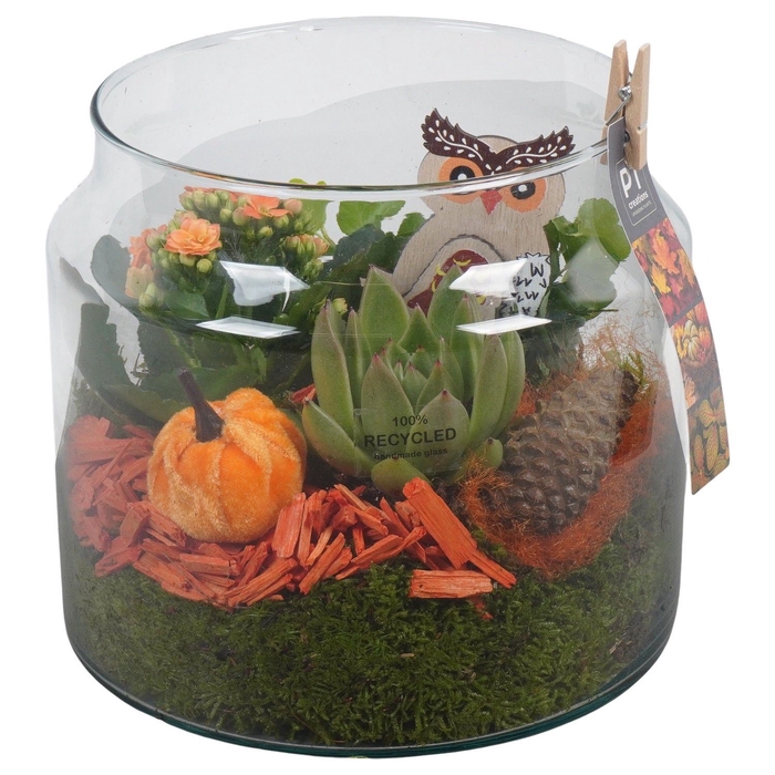 <h4>Arr.   Planten L%</h4>