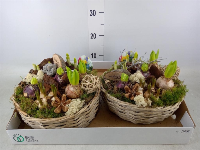 <h4>Arr. Bol/Knolgewas L%</h4>