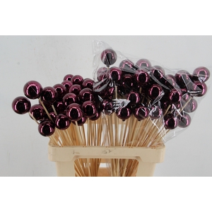 Stick Ball C. Ø4 Wine Shiny