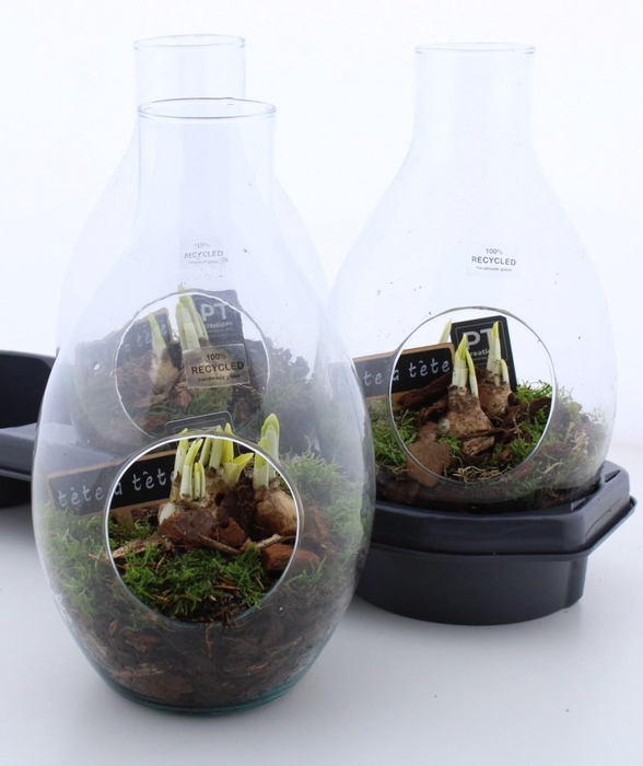 <h4>ARR N TETE A TETE</h4>