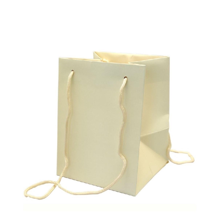 <h4>Bags Olympic 25*18*18cm CREAM</h4>