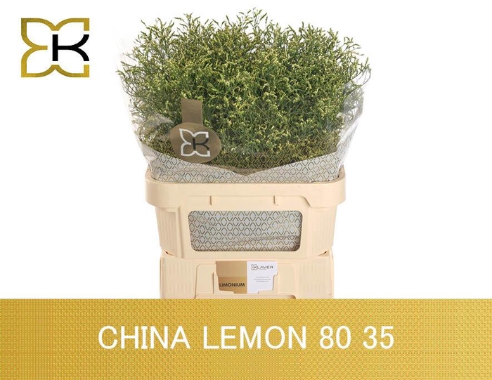 <h4>LIM SIN CHINA LEMON</h4>