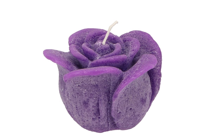 <h4>Candle Roos Purple 8x7cm</h4>