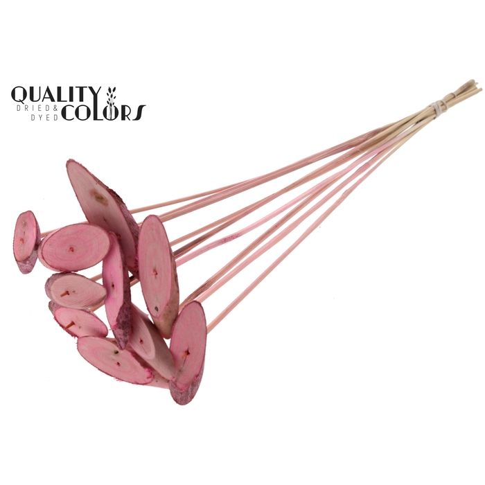 <h4>Wood oval Slice on stem Frosted Pink</h4>