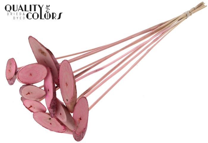 Wood oval Slice on stem Frosted Pink