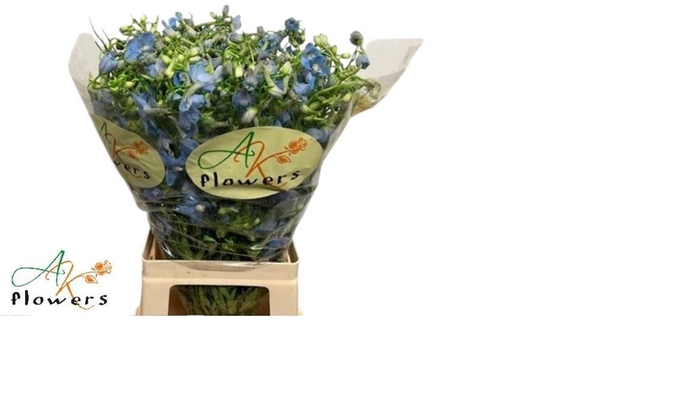 <h4>DELPH EN BALLKLEID</h4>