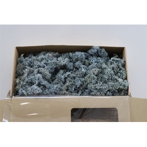 Mos Reindeer Moss Blue Box 500gr