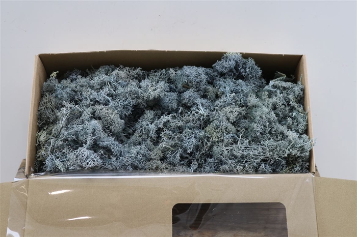 <h4>Reindeer Moss 500gr Blue</h4>