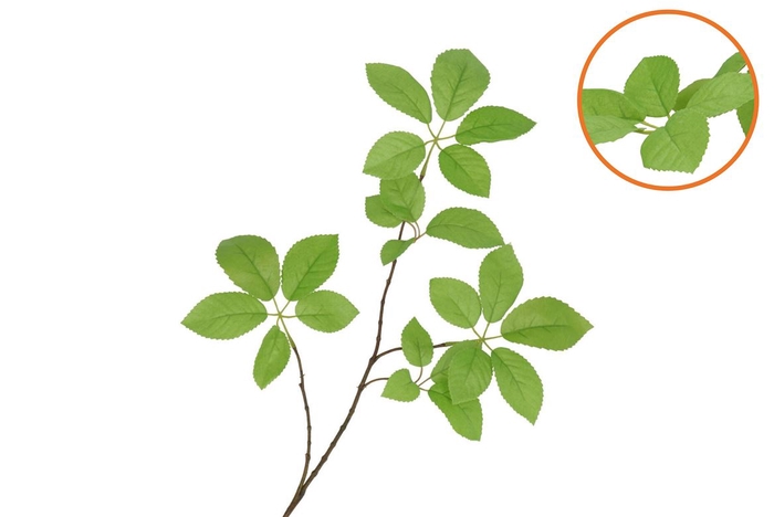 Silk Leaf Elder Green 81cm Nm