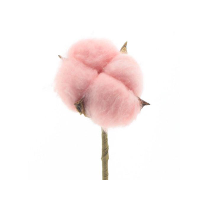 <h4>Bijsteker 50cm Katoen 5cm</h4>