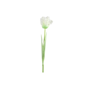 Af Tulip Parrot L69cm White