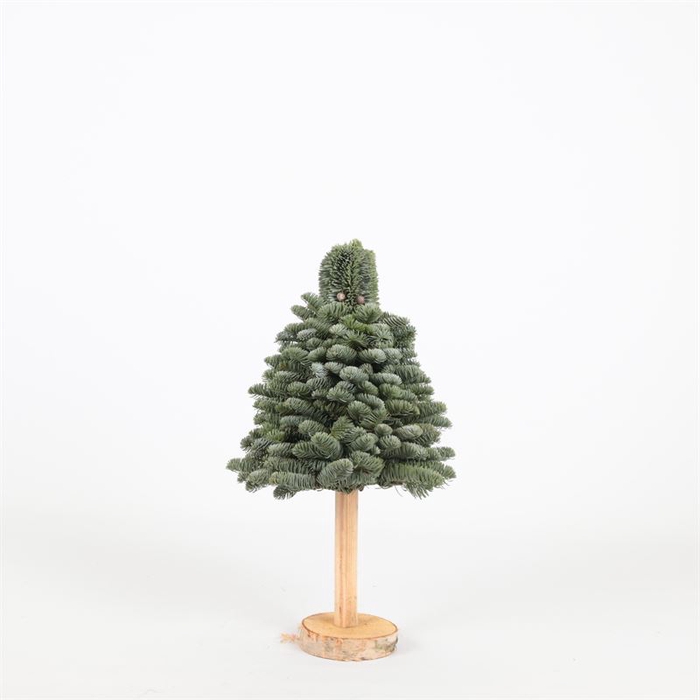 <h4>Kerstboom (30) Op Stam L6</h4>