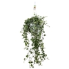 Hedera Helix hangpot
