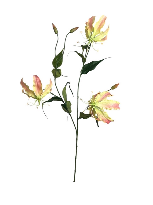 <h4>AF Gloriosa L92cm peach</h4>
