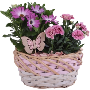 Spring Flower Arr. Outdoor Willow Basket Oval Threetone Ø22cm2PP