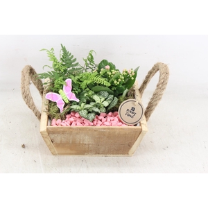 arr2 PL - Hout 4kant touw oor - roze