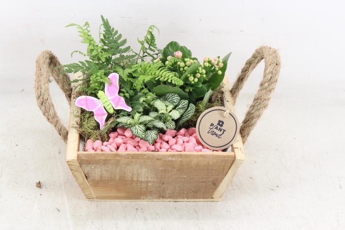 <h4>arr2 PL - Hout 4kant touw oor - roze</h4>