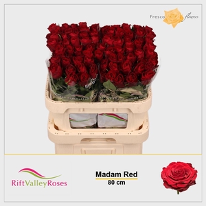 R GR MADAM RED