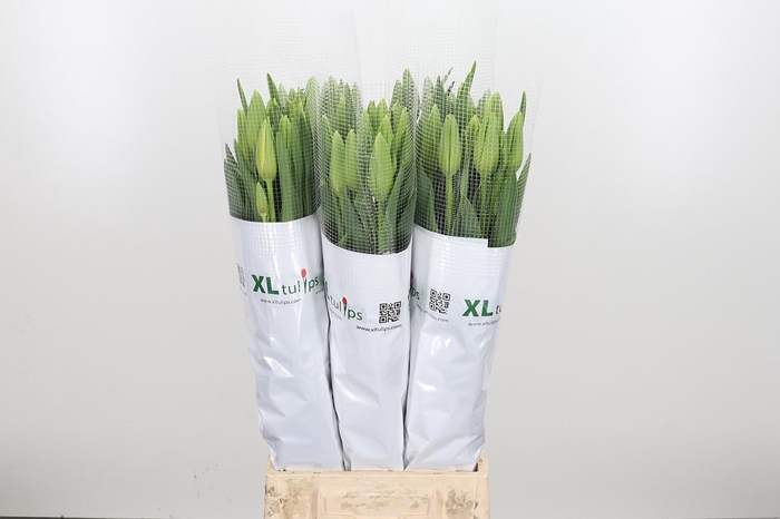 <h4>Tu En Ouveze</h4>