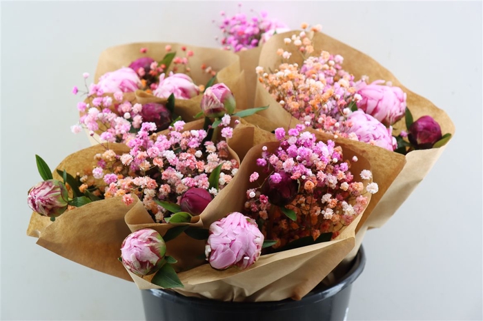 <h4>Bqt Peony Malibu</h4>