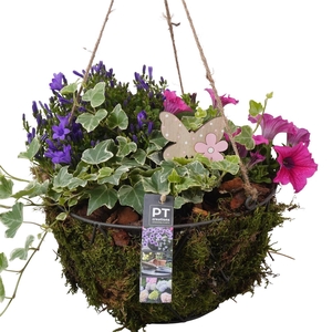 PTPP6915 Arrangement Patio in metalen hangpot