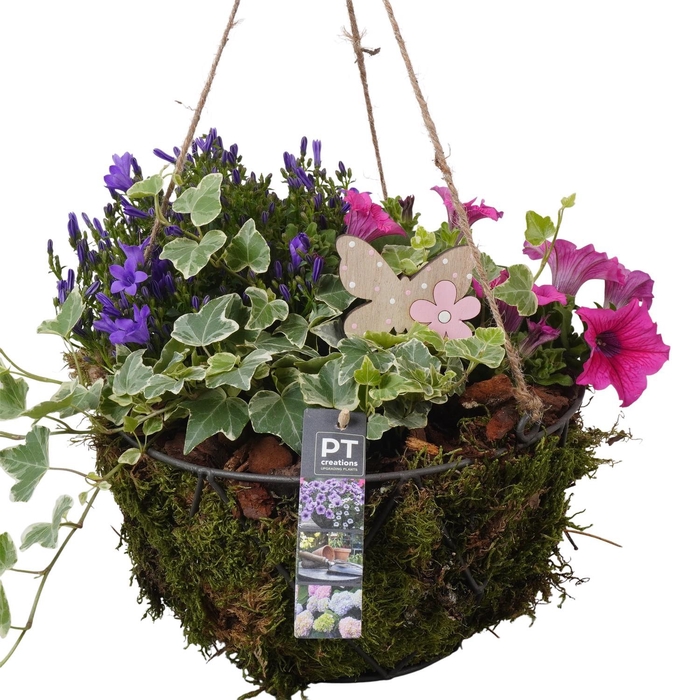 <h4>PTPP6915 Arrangement Patio in metalen hangpot</h4>