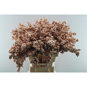 Peper Bes Op Stok Koper