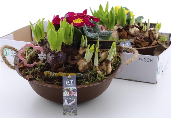 <h4>ARR PL IN SCHAAL</h4>