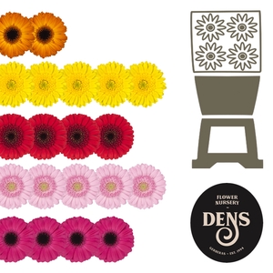 Germini Mix op Rij Diamond