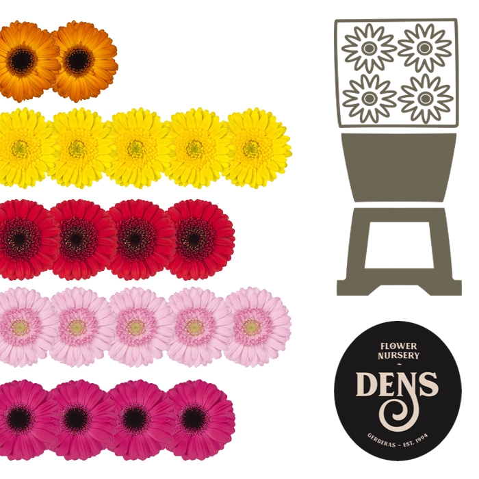 <h4>Germini Mix op Rij Diamond</h4>