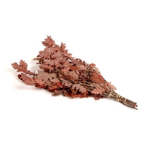 PRES EIK BLEACHED PBS