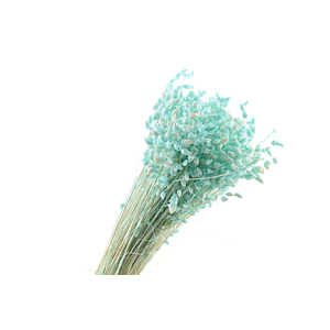 Briza Max Mint