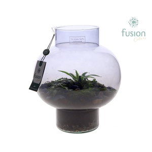 Green Bottle Laura Medium Smoky glas met arrangement