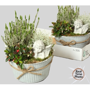 ARR TUINPLANTEN