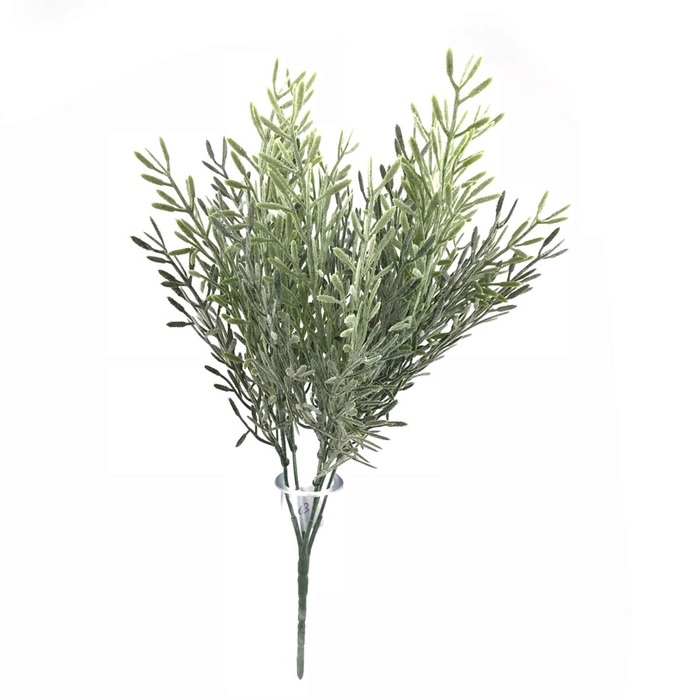 <h4>FOLH ALECRIM</h4>