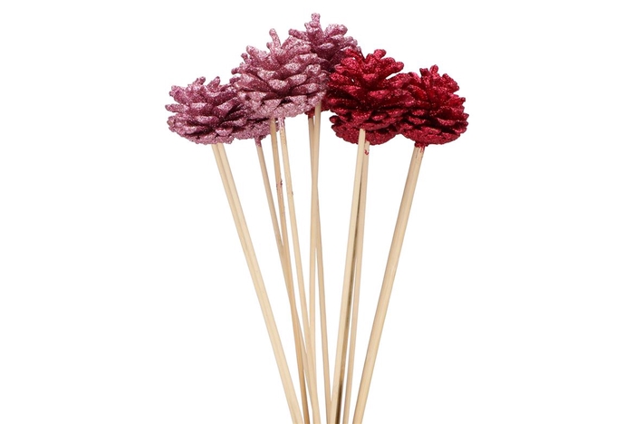 <h4>Pick Shine Pinecone Nat Fuchsia/pink Glitter 50cm Ass P/12</h4>