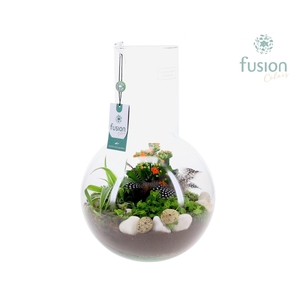 Green Bottle Suzanne Large met Pasen arrangement