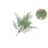 Silk Fern Maiden Hair Branch Green Snowy 76cm