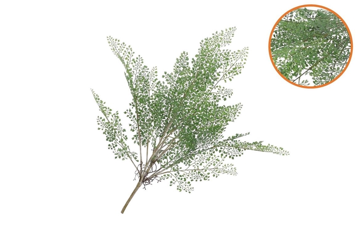 Silk Fern Maiden Hair Branch Green Snowy 76cm
