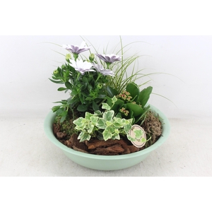 arr4 Outdoor PL - Zink schaal groen Los