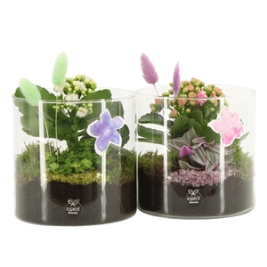 11619: Consideration arrangement