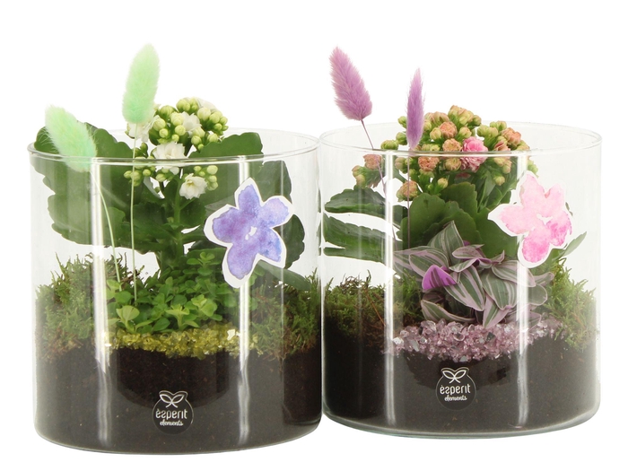 <h4>11619: Consideration arrangement</h4>